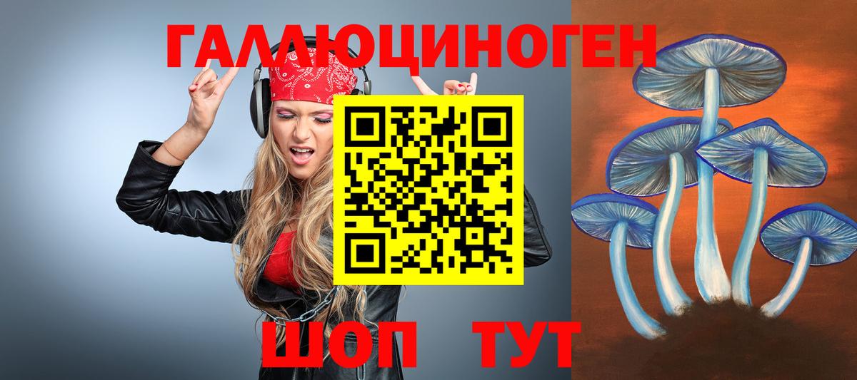 Псилоцибиновые грибы Psilocybine cubensis  Вход с VPN  Псилоцибиновые грибы Psilocybe  Белорецк 